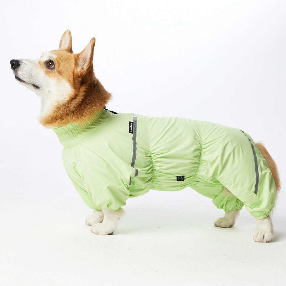 Дождевик LionPets Корги LPK-9125-4 на девочку Цвет: Салатовый (девочка Размер 1 (спинка 50,обхват шеи 35-46, обхват груди 53-60))