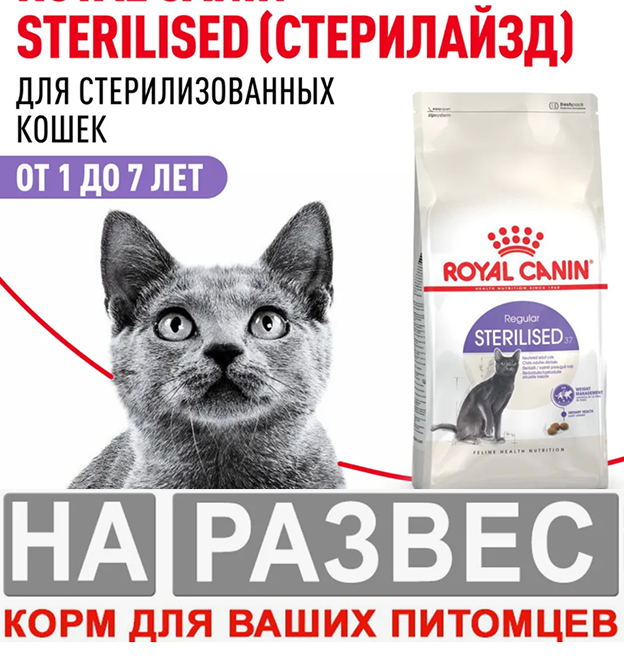 Корм для кошек РАЗВЕСНОЙ БРИДЕР Royal Canin для кастрированных кошек и котов
