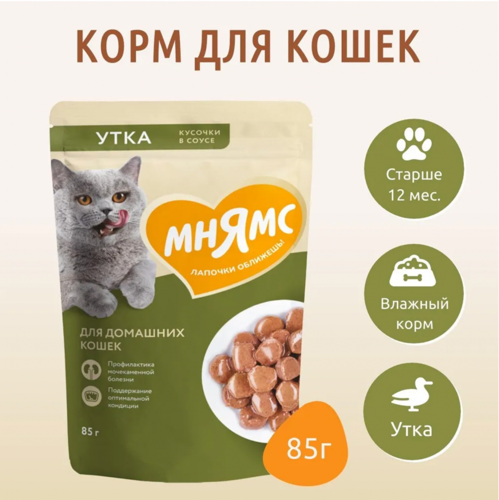 Влажный корм Мнямс Кусочки в соусе с уткой для домашних кошек 85 г
