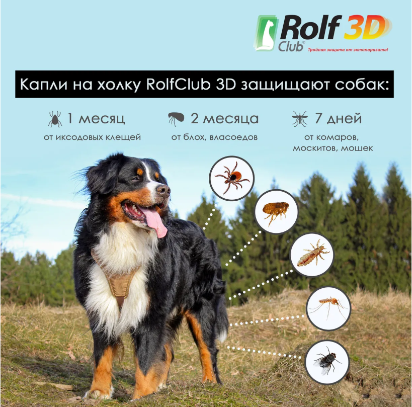 RolfClub 3D (Neoterica) капли для собак 20 - 40 кг, от блох и клещей, 1 пипетка, 2.5 мл
