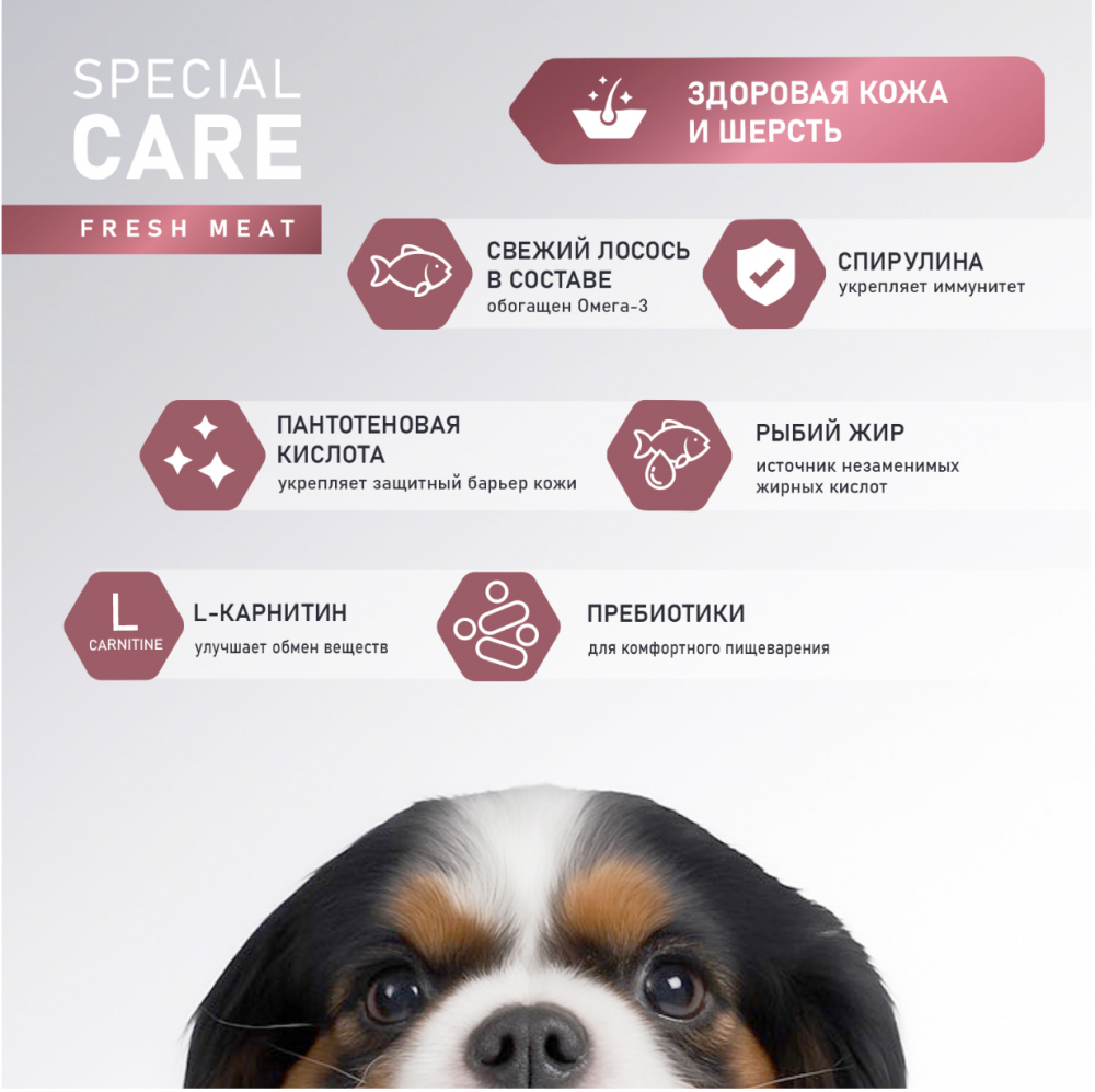 Сухой корм AWARD SPECIAL CARE Sensitive Skin&amp;Coat для взрослых собак всех пород для здоровой кожи и шерсти со свежим лососем