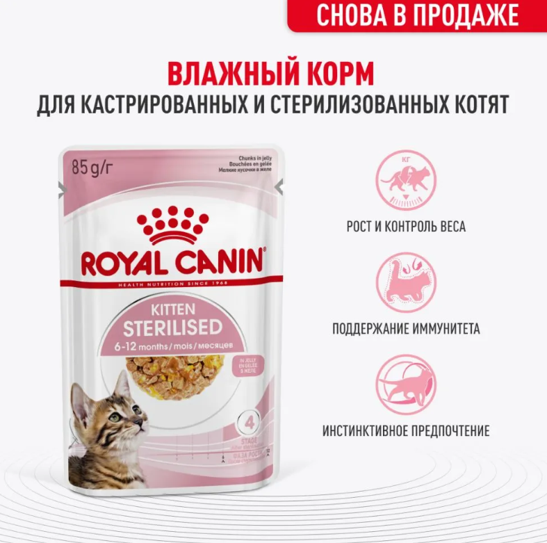 Влажный корм для котят Royal Canin Kitten Sterilised кусочки в желе 85 г