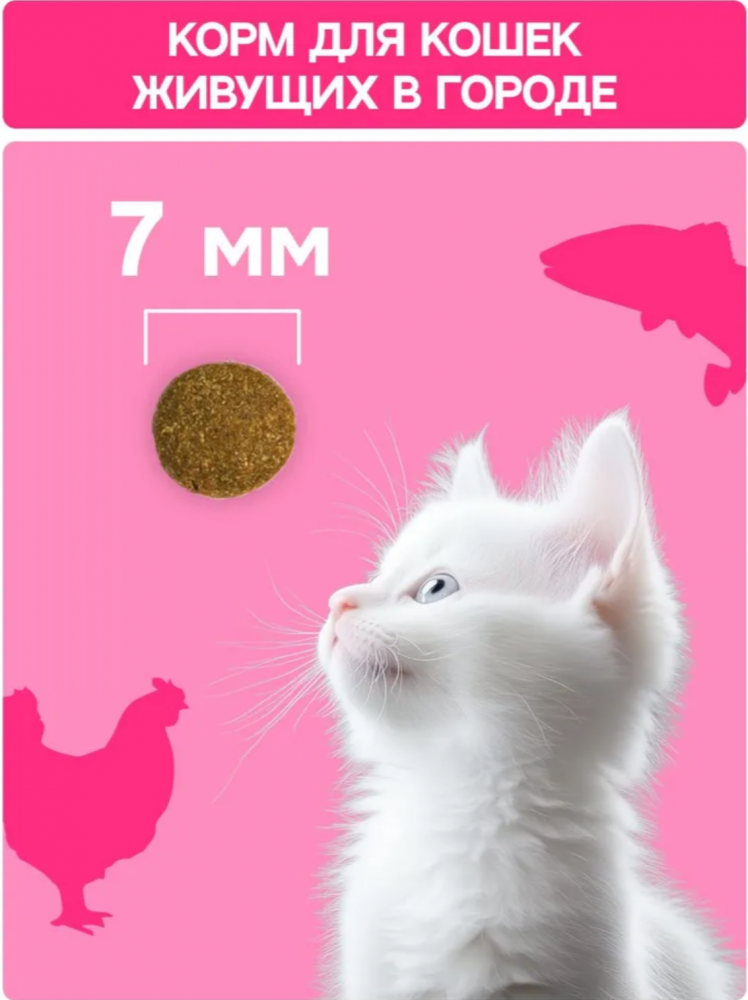 Корм MOLINA CAT с курицей и лососем для КОТЯТ