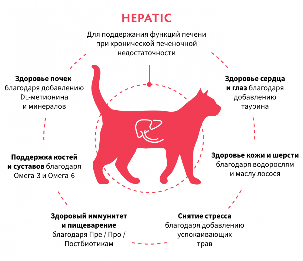 Корм Grandorf VET HEPATIC предназначенный для поддержания функции печени при хронической печеночной недостаточности почек кошекn