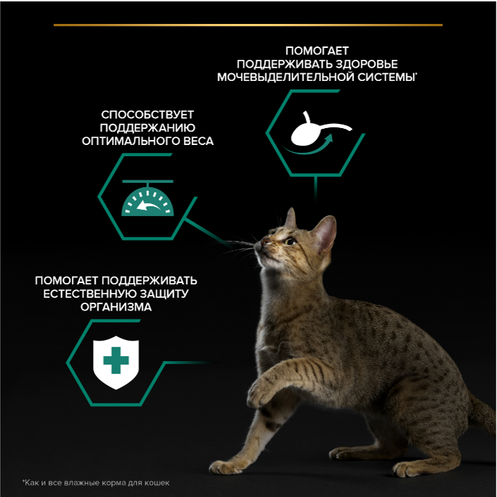 Влажный корм Purina Pro Plan кусочки в соусе для кастрированных кошек с курицей 85 г