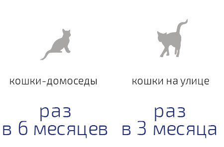 Препарат противопаразитный для кошек Астрафарм Празител 2таблетки