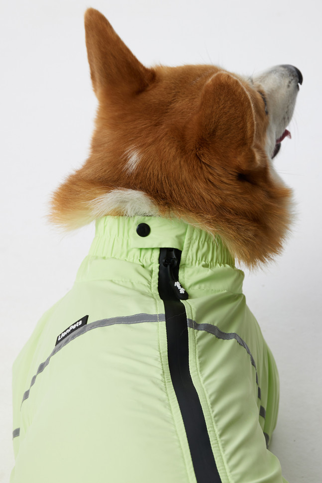 Дождевик LionPets Корги LPK-9125-4 на девочку Цвет: Салатовый (девочка Размер 1 (спинка 50,обхват шеи 35-46, обхват груди 53-60))