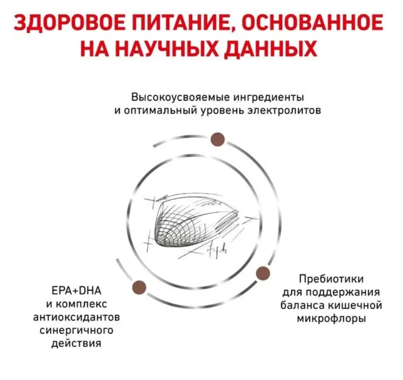 Влажный корм Royal Canin (вет. консервы) кусочки в СОУС для кошек при лечении ЖКТ 85 г