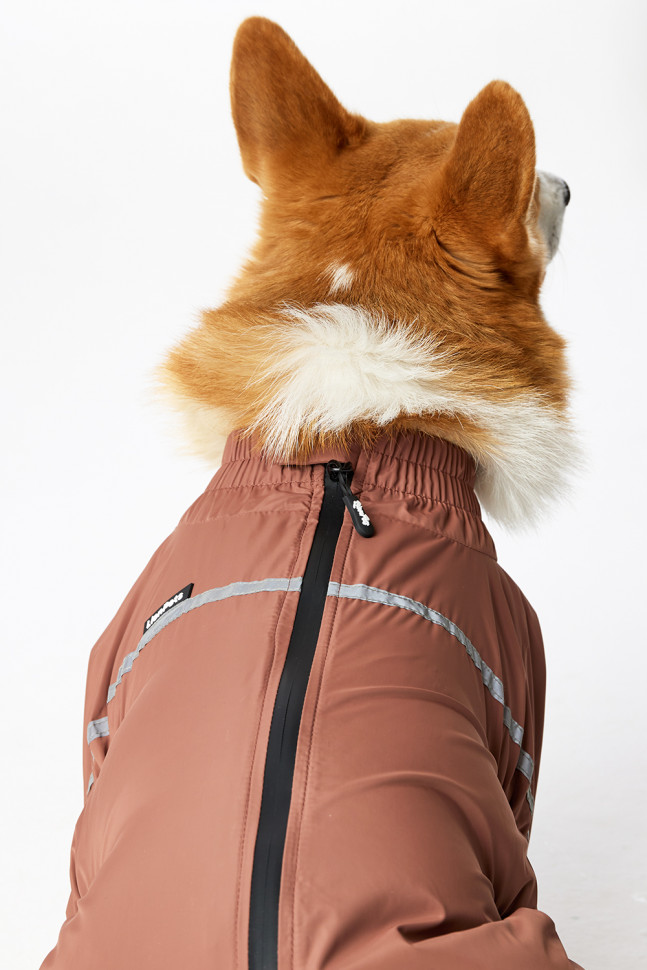 Дождевик LionPets Корги LPK-9125-128 на мальчика Цвет: Шоколадный (мальчик Размер 1 (спинка 50, обхват шеи 40-50, обхват груди 50-62))