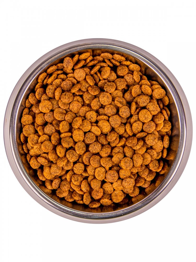 Корм сухой Monge Cat Urinary корм для кошек профилактика МКБ с курицей 10 кг